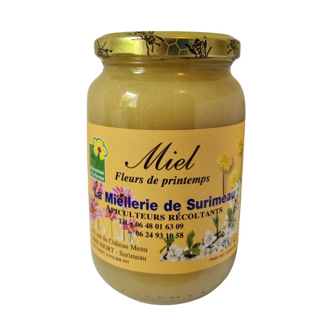 Miel niortais : fleurs de printemps